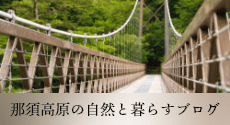 那須高原の自然と暮らすブログ